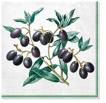 恩餐巾橄榄与框架
