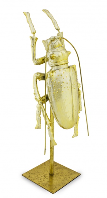 雕像甲虫